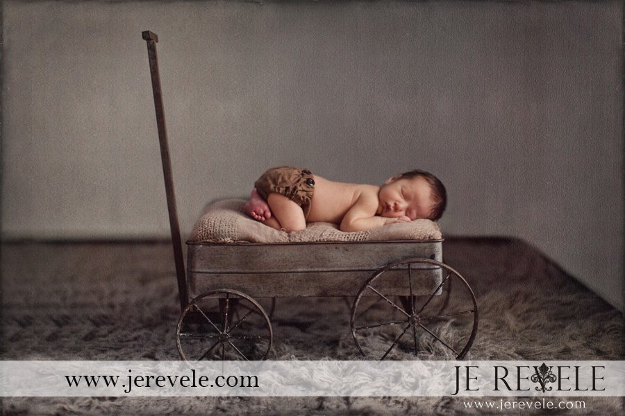 new jersey newborn photos