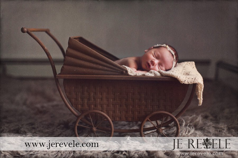 new jersey newborn photos