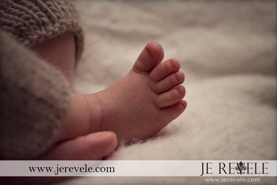 new jersey newborn photos