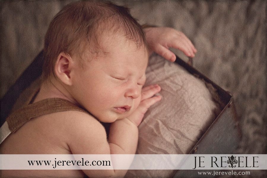 new jersey newborn photos