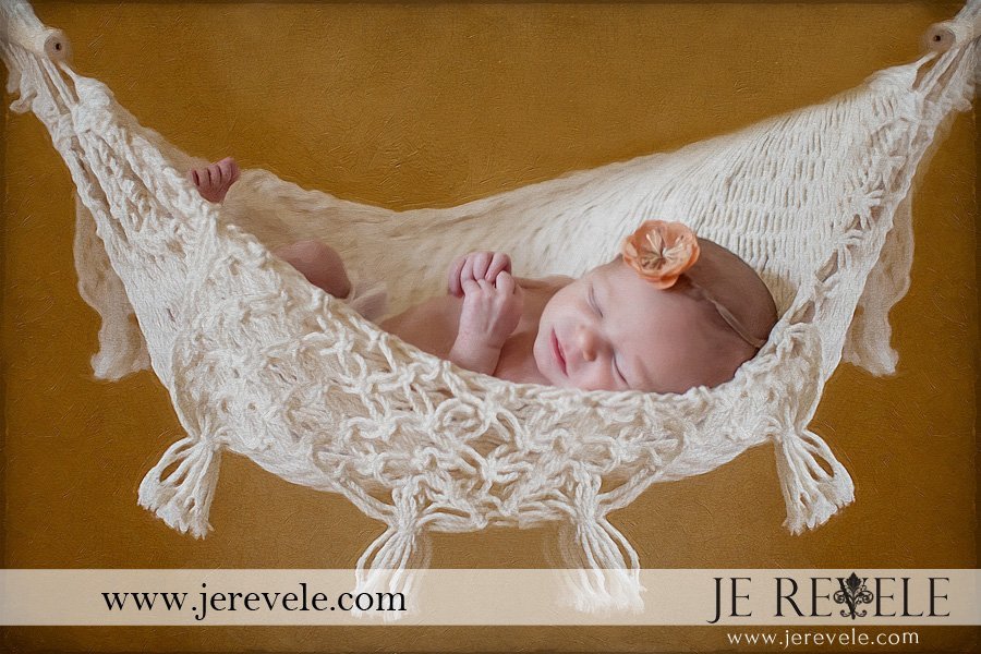 new jersey newborn photos