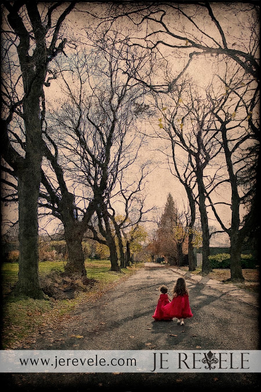 NJ Family Photographer