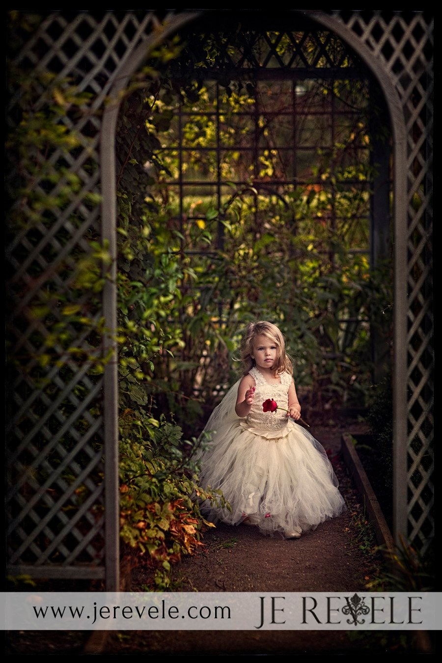 New Jersey Family Photographers