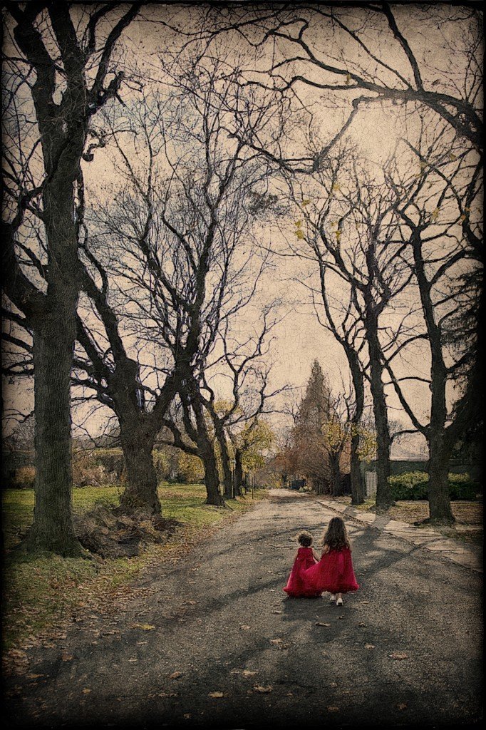 holiday family portraits